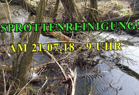 Aktion Sprottenreinigung 2018