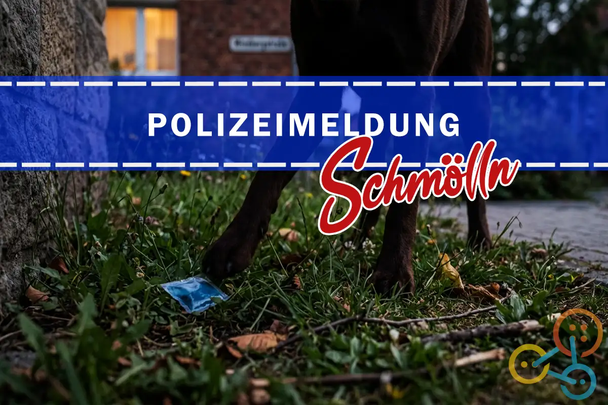 Warnung: Rattengift in Schmölln ausgelegt – Hund verletzt