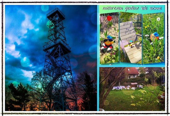 2018-Fotowettbewerb-MeinSchmölln-Gewinner-Finish