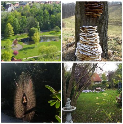 Fotowettbewerb "Mein Schmölln" - Woche 5 - 30.04. - 05.05.18